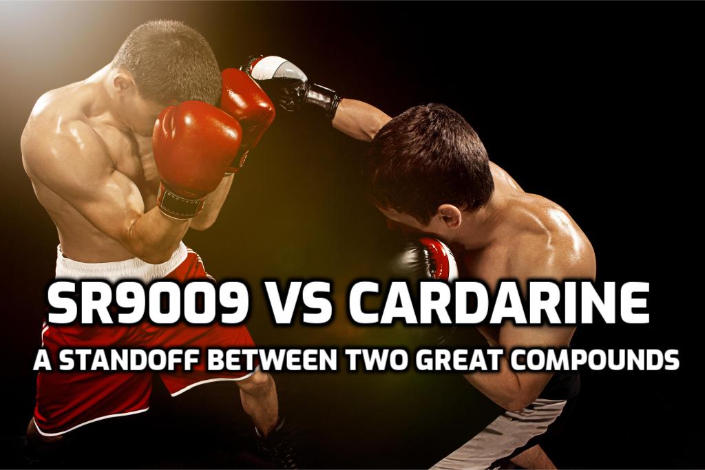sr9009 vs cardarine zsírvesztés esetén